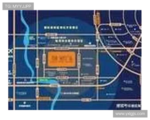 成都与南京排球队赛后技术分析与战术复盘全景解析